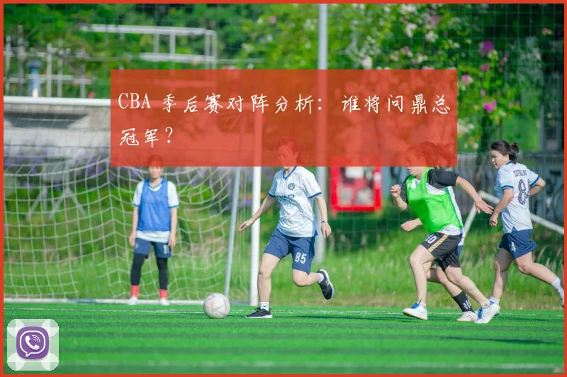 CBA 季后赛对阵分析：谁将问鼎总冠军？