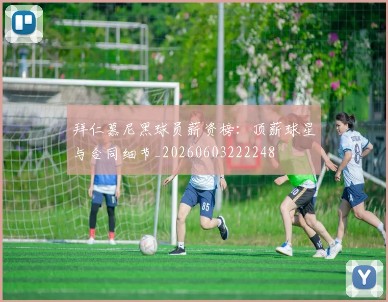 拜仁慕尼黑球员薪资榜:顶薪球星与合同细节_20260603222248