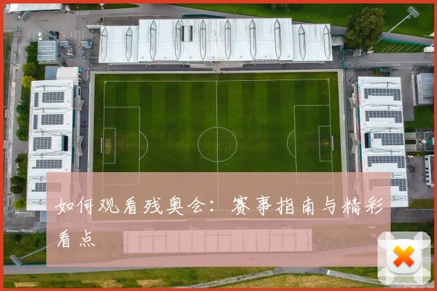 如何观看残奥会:赛事指南与精彩看点
